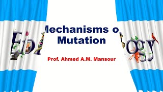 Mechanisms of Mutation [upl. by Ferd]