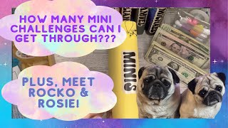 How Many Mini Challenges Can I Get Through Plus Meet Rocko and Rosie cashstuffing daveramsey [upl. by Cyrille210]