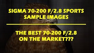 Sigma 70200 f28 Sports  Image Samples Focus Breathing or lack of and More [upl. by Osbourn298]