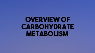 Overview of Carbohydrate Metabolismcarbohydratemetabolism carbohydrates biochemistry metabolism [upl. by Nilyak19]