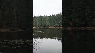 Linley Valley Cottle Lake Park exploringbritishcolumbia nanaimo hiking lake [upl. by Odab196]