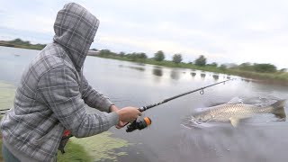 Pecanje šarana i amura  Revir na reci Jegrički kod Žablja Vojvodina Dubinsko pecanje Carp fishing [upl. by Hannaj]