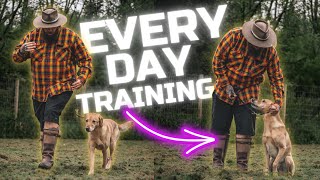 3 Dog Training Tips You Should Do Every Day With Your Dog [upl. by Aihsas190]