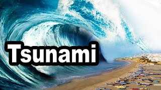 How does Tsunamis Work  The tsunami happens after an earthquake deep in the sea Educational Videos [upl. by Nur816]