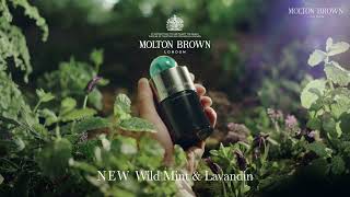 NEW Wild Mint amp Lavandin Collection  Molton Brown [upl. by Hanschen]