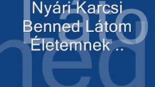 NYÁRI KÁLMÁN quotBenned Látom Életemnek Gipsy Music [upl. by Nwahsel730]