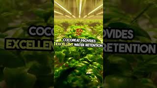 How to use Cocopeat the right way for Plants Mixing cocopeat with tricoderma perlite amp vermiculite [upl. by Ynnoj518]