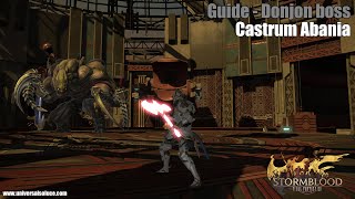 Final Fantasy XIV 40  Guide  Castrum Abania [upl. by Edeline]