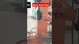 Boric Acid Test Chemistry Experiment By Mk sir short youtube vedio [upl. by Ulrike206]