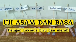 UJI ASAM BASA DENGAN LAKMUS MERAH DAN BIRU  PRAKTIKUM IPA KELAS 7 [upl. by Davide810]