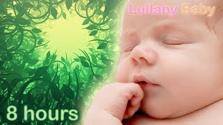 ✰ 8 HOURS ✰ Baby Sleep Music ♫ Relaxing Music for Babies to go to Sleep ♫ FOREST SOUNDS ♫ [upl. by Anier]