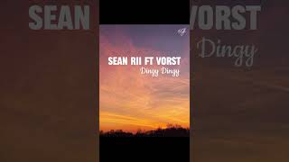 Sean Rii Dingy Dingy ft Vorst2024 audio [upl. by Terrel793]