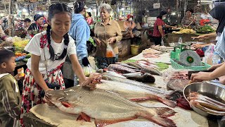 Market show  Chef pich buy big river fish and some ingredients for cooking  Cooking with Sreypich [upl. by Oijile]