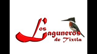 LOS LAGUNEROS DE TIXTLA quotEL RECOCOquot [upl. by Trstram]