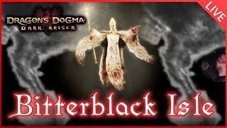 Today I Defeat the Dark Bishop of Maelstroms  Dragons Dogma [upl. by Aztiraj]