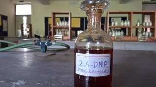 How to prepare 2 4 DNP reagent । Bradys reagent [upl. by Akselaw]