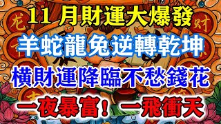 11月財運大爆發！羊蛇龍兔逆轉乾坤，橫財運降臨不愁錢花，一夜暴富！一飛沖天！運勢 風水 佛教 生肖 发财 横财 【佛之緣】 [upl. by Desdee]