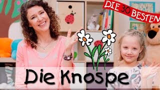 🌺 Die Knospe  Singen Tanzen und Bewegen  Kinderlieder [upl. by Amjan414]