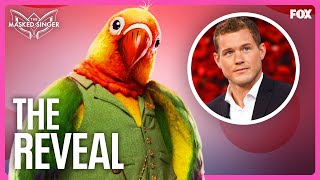 The Reveal Colton Underwood is Lovebird  Season 11  The Masked Singer [upl. by Eisnyl681]