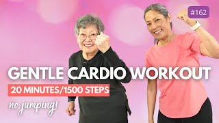 Improve HEART HEALTH At Home  20 Minute Gentle Workout for Seniors And Beginners [upl. by Mikes235]