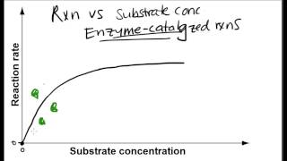 Reaction Rate versus Substrate Concentration  Enzymecatalyzed reactions [upl. by Nuahsyar]