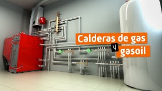 Calderas de Gas y Gasoil Explicación Por Expertos [upl. by Malloch47]