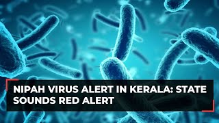 Nipah Virus What are the symptoms  Can Nipah be treated  Know all about Kerala the Outbreak [upl. by Damalis]