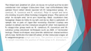 Description of Immature Stages of the Brown Dog Tick Rhipicephalus Sanguineus Acari Ixodidae Using S [upl. by Hsemar]