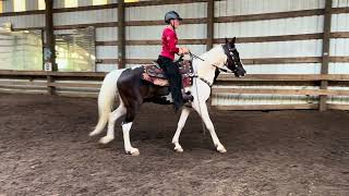 Maverick with Emily up Class 43 Western Pleasure Open WJ Tennessee Walking Horse ￼ [upl. by Boleslaw]