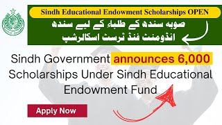 Sindh Endowment Fund Trust Scholarship  How To Apply Online For SEEF Scholarship 2024  SEEF [upl. by Marna497]