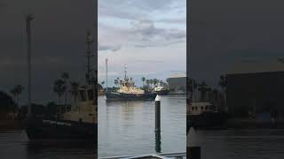 Svitzer Newton tug boat  North Harbour Hunter River Newcastle NSW Australia [upl. by Radmilla]