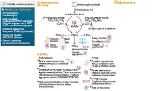 NSAIDS amp ACETAMINOPHEN [upl. by Dehlia671]