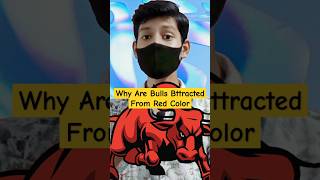 Why Bulls Are Attracted From Red Colour 🤯 shorts facts knowledge bull education [upl. by Xavier]