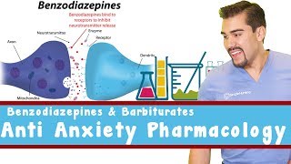 Anti Anxiety Pharmacology Benzodiazepines and Barbiturates [upl. by Melva]