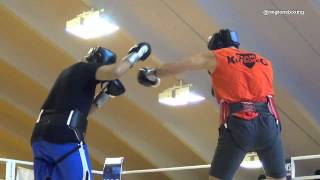 Wladimir Klitschko 1 Minute Sparring Austria 16th April 2013 [upl. by Luwana799]