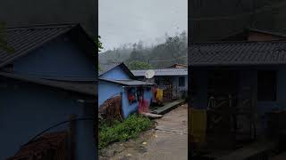 Periyar nagar Valparai rain [upl. by Yahsed]