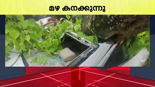 സംസ്ഥാനത്ത് മഴ കനക്കുന്നു പല സ്ഥലങ്ങളിലും അപകടങ്ങൾ മരം കാറിന് മുകളിൽ വീണ് ഒരാൾ മരിച്ചു [upl. by Kalina]