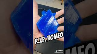 RIP Romeo my giant copper sulfate crystal gonebutneverforgotten science chemistry [upl. by Reger]