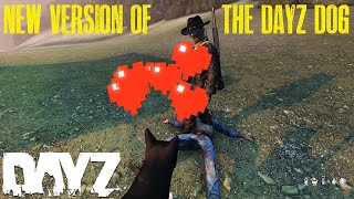 A New Version Of The DayZ Dog MOD [upl. by Eelytsirk]