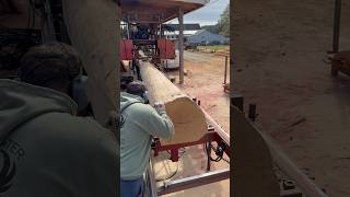 White Oak Cut Into 2x9’s  Cooks AC36 sawmill [upl. by Maddis549]