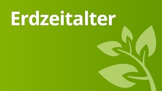 Erdzeitalter Pflanzenwelt und Tierwelt  Biologie  Evolutionsbiologie [upl. by Shutz]