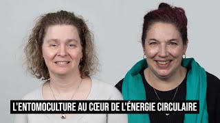 LENTOMOCULTURE AU COEUR DE LÉNERGIE CIRCULAIRE [upl. by Lalib645]