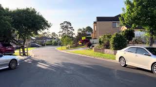 Aussie’s parrots chatting mampt in Sydney Hills adorable leafy estate [upl. by Lyndsie]