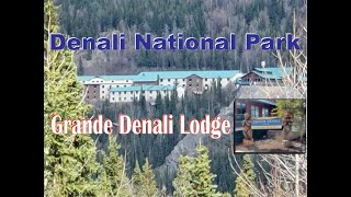 Denali National Park  Grande Denali Lodge [upl. by Symons]