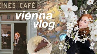 My First Solo Trip to Vienna ☕️ 3 Days in Austria VLOG [upl. by Kilah43]