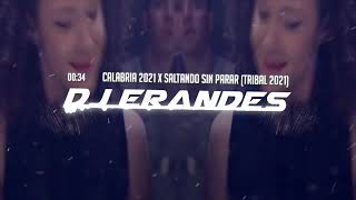 DJ Erandes  Calabria 2021 x Saltando Sin Parar Tribal 2021 [upl. by Akima]