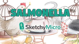 Salmonellas Salmon Diner  SketchyMicro  Sketchy Medical USMLE Step 1 [upl. by Camp349]