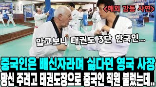 중국인은 배신자라며 싫다던 영국 사장 망신 주려고 태권도장으로 중국인 직원 불렀는데 [upl. by Enyawd]