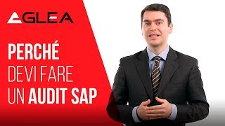 Perché devi fare un audit SAP [upl. by Ebag]