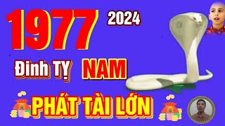 🔴 TỬ VI 2024 Tử Vi Tuổi ĐINH TỴ 1977 Nam Mạng năm 2024 Trời Ban Lộc PHÁT TÀI CỰC MẠNH GIÀU TO [upl. by Jarrad]